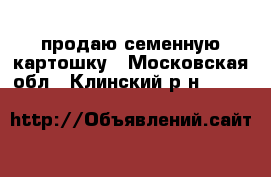 продаю семенную картошку - Московская обл., Клинский р-н  »    